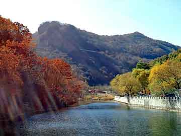 新澳天天开奖资料大全旅游团，恐怖高校最新章节